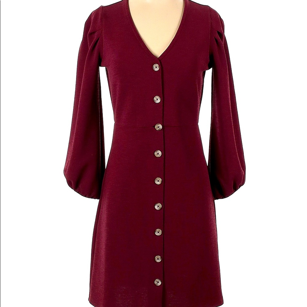 Madewell Maroon Button Down Dress